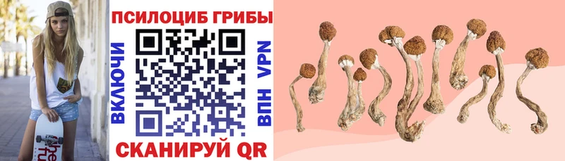 Галлюциногенные грибы мицелий  Кириши 